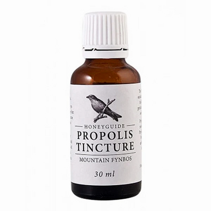 Honeyguide Propolis Tincture - 30ml